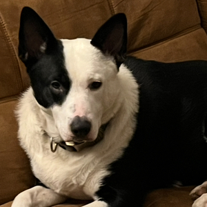 Fundraising Page: Juniper Hayden